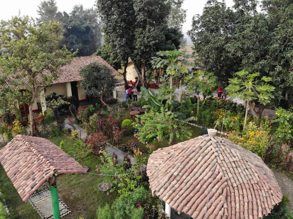 Homestay Bardia Eco Friendly